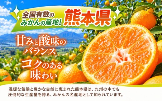 訳あり 小玉みかん 5kg | 果物 みかん くだもの みかん フルーツ みかん 柑橘 みかん 柑橘類 みかん ミカン 家庭用 みかん 熊本県 みかん 玉名市 みかん
