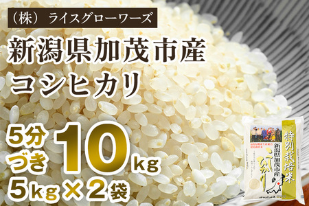 【令和8年産新米先行予約】5分づき 新潟県 加茂市産 特別栽培米コシヒカリ 10kg（5kg×2）《10月上旬～順次出荷》 （株）ライスグローワーズ