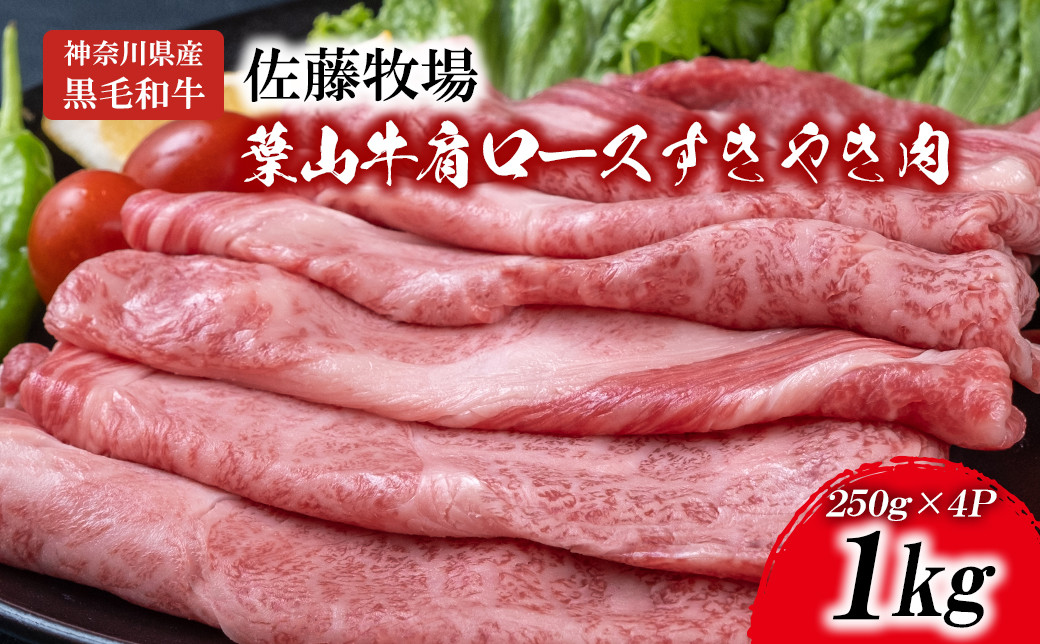 
            【神奈川県産黒毛和牛】三浦市の佐藤牧場が育てた葉山牛 肩ロースすき焼き肉4P　M079-007-02
          