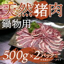 【ふるさと納税】天然イノシシ肉！鍋物用(500g×2P・計1kg) 鹿児島 国産 いのしし肉 イノシシ肉 スライス 鍋 ジビエ お中元 お歳暮【きらく】