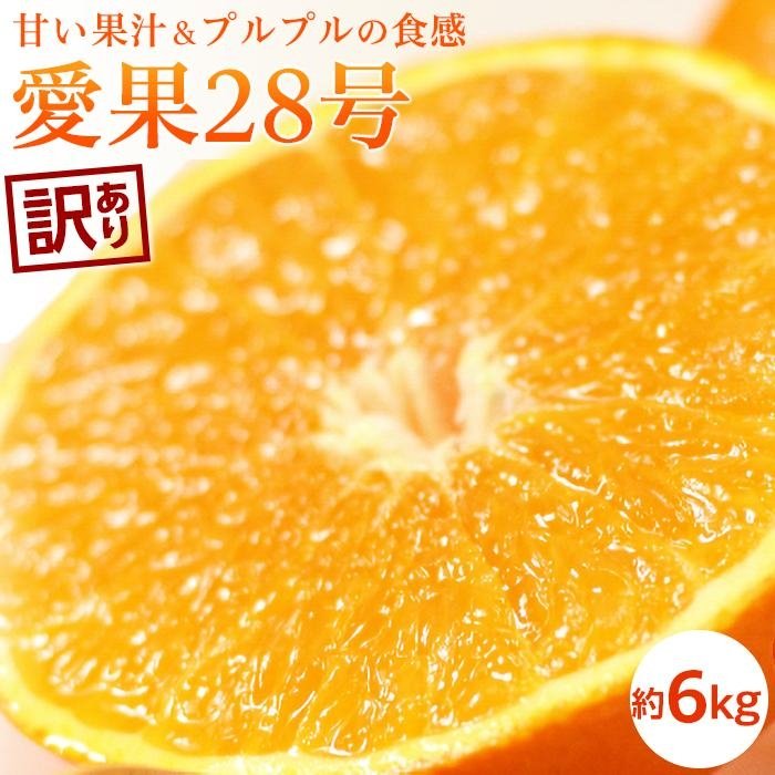 【ふるさと納税】 【2026年11月中旬頃から発送予定】訳あり 愛果28号 (紅まどんな と同品種) 約6kg | 愛果28号 まどんな 柑橘 みかん 果物 くだもの フルーツ おすすめ 高級 人気 お取り寄せ グルメ ギフト 期間限定 数量限定 ご当地 愛媛県 松山市