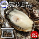 【ふるさと納税】牡蠣 厚岸のブランド牡蠣 マルえもん Lサイズ 20個 生食用　 魚貝類 海鮮 海のミルク 国産 生食用殻付き牡蠣 まろやか クリーミー 食べやすい品種 海の香り 牡蠣の酒蒸し 焼き牡蠣