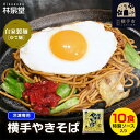 【ふるさと納税】冷凍 横手やきそば（専用茹で麺＆ストレートソース） 10食