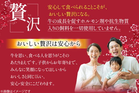 牛肉 緋桜肉 焼肉 プレミアム セット 計1.6kg [イノベスタ 沖縄県 伊江村 ie47bde380003] 肉 和牛 焼き肉 ステーキ 国産 ひざくらにく ブランド和牛 ブランド牛