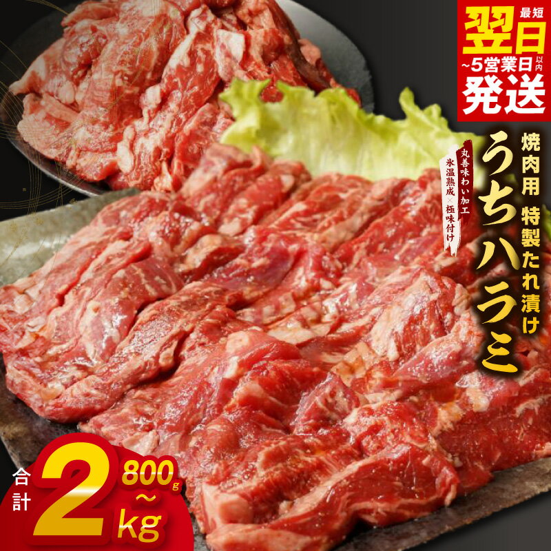 【ふるさと納税】【発送月が選べる】 うちハラミ 800g / 1.2kg / 2kg 希少部位 ハラミ 焼肉用 氷温熟成牛 牛肉 熟成肉 丸善特製ダレ 味付け 焼くだけ 簡単調理 BBQ バーベキュー 冷凍 満足度98％以上 高評価 最短 翌日発送 5営業日 肉の泉佐野 大阪府 泉佐野市 送料無料