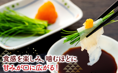 10~3月発送 とらふぐ 刺し てっさ 2人用 1パック 冷凍 皮刺し もみじポン酢付き ふぐ 老舗旅館 豆千待月 トラフグ 魚貝 愛知県 ふぐ