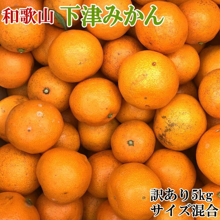 【訳あり】和歌山下津みかん5kgご家庭用向け(サイズ混合)
※2024年11月中旬～2025年1月中旬頃に順次発送予定_イメージ1