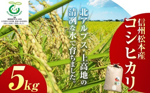 
                  信州松本産コシヒカリ特別栽培米 5kg │ 信州 長野県 松本市 コシヒカリ 5kg 米 こめ コメ 白米 精米 ごはん 贈り物 風味
                