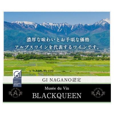 ふるさと納税 塩尻市 アルプスワイン ミュゼドゥヴァン 松本平ブラッククイーン |  | 01