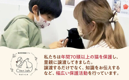 Cherish猫カフェ 回数券（15回分） 猫 ねこ ネコ 保護猫 支援 動物愛護 応援 大阪府高槻市／特定非営利活動Cherish[AODU003]