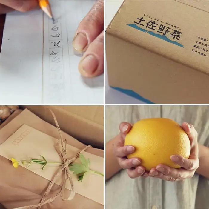 やさい 12回定期便 土佐野菜セット やさい