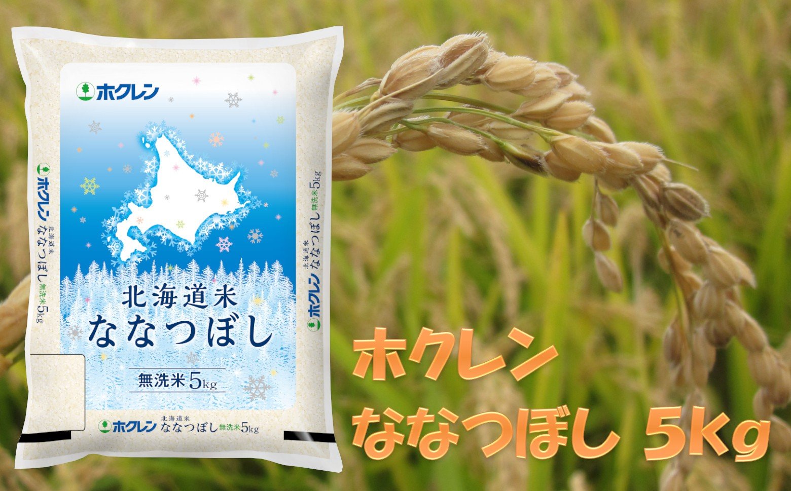 
            （無洗米５ｋｇ）ホクレンななつぼし
          