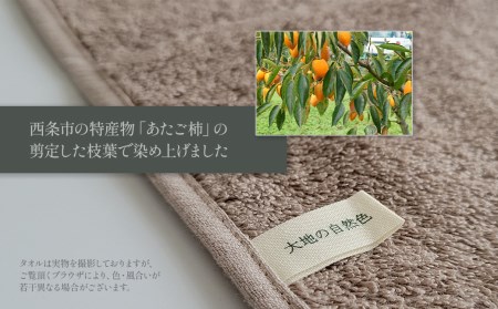 「地域の自然を染めるタオル」 フェイスタオル・タオルハンカチ 各2枚セット（ライトグレー／あたご柿）　天然加工 草木染 西条市 河上工芸所