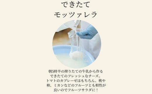 画像はイメージです。