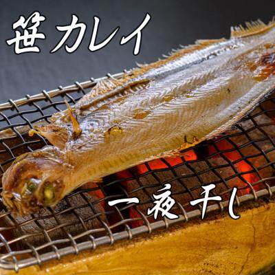 ふるさと納税 京丹後市 笹かれい一夜干し(ササカレイ、ヤナギムシカレイ)大サイズ 5尾セット |  | 02