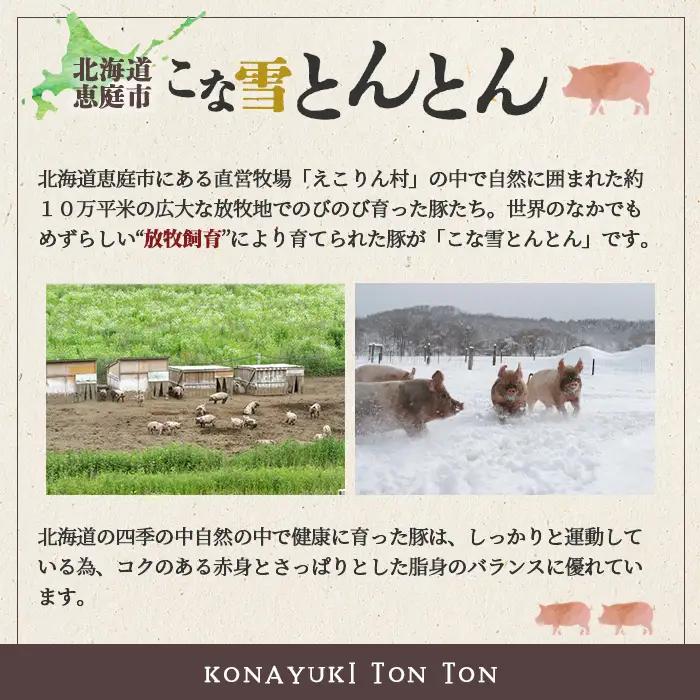 こな雪とんとん　えこりん村ポークカレー　200g×3箱【19006501】
