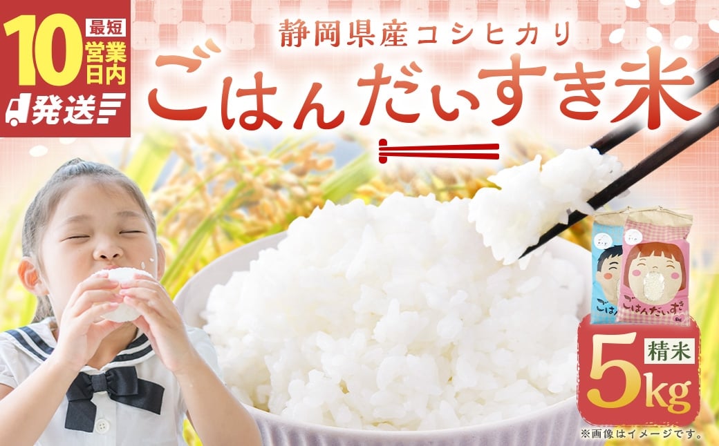 
                  【10営業日発送】【令和7年産】静岡県産コシヒカリ 精米 5kg （5kg×1袋） 【2026年8月下旬迄順次発送予定】 コシヒカリ こしひかり 白米 米 コメ こめ ご飯 ごはん 菊川市 静岡県
                