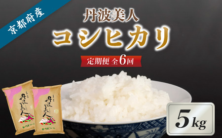 【6回毎月定期便】京都府産 コシヒカリ「丹波美人」白米 5kg 令和7年度産