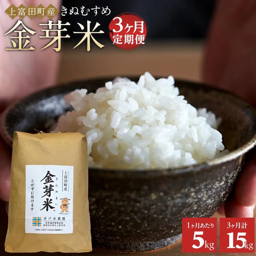【 定期便 】令和7年産  上富田町産 金芽米 きぬむすめ 5kg × 3か月 井戸本農園