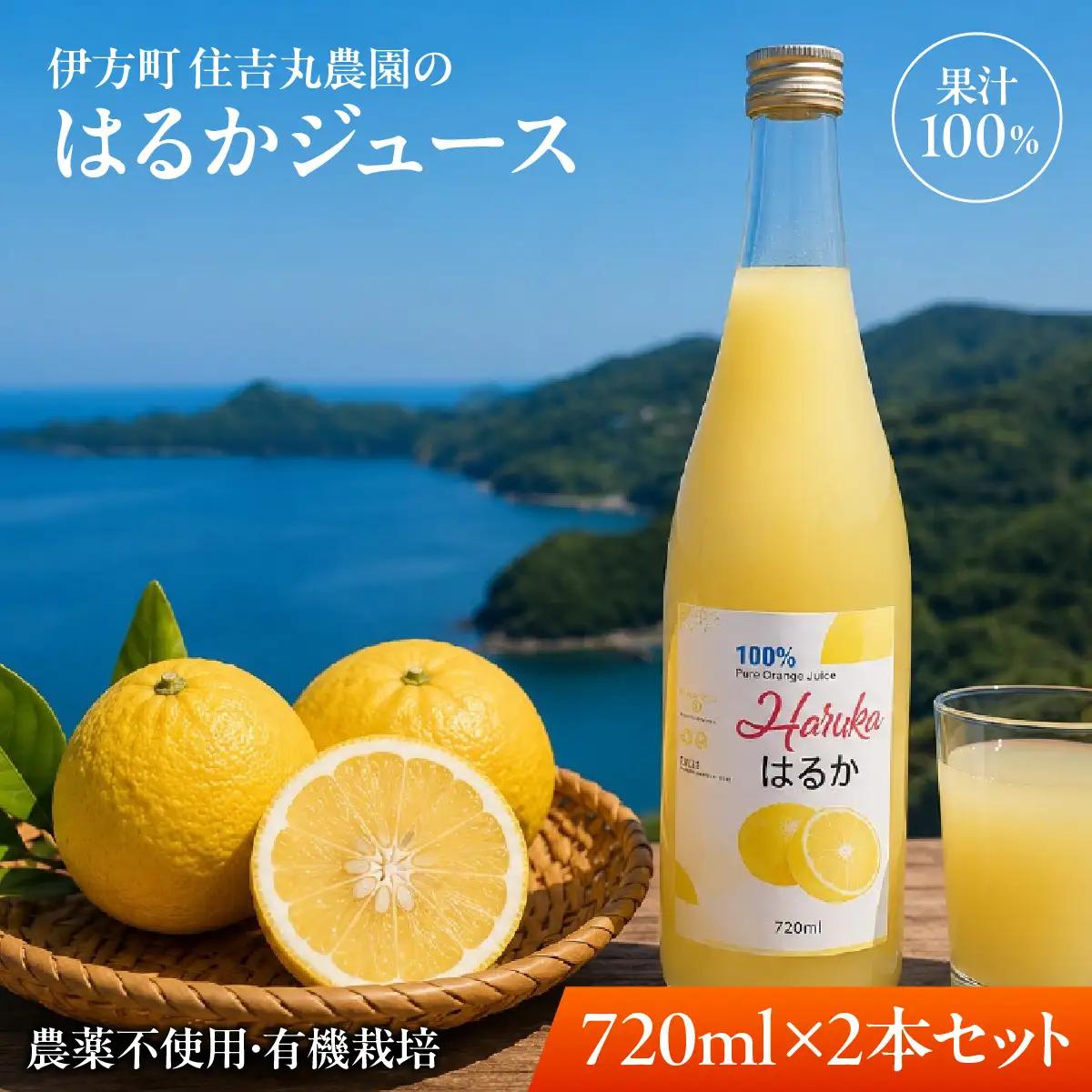 はるかジュース 720ml×2本 IKTBN002