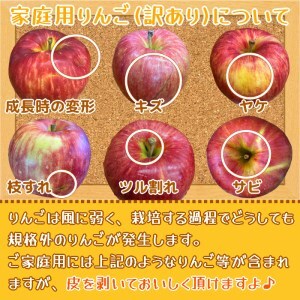 家庭用 りんご サンふじ スマートフレッシュ™ 5kg (14玉から20玉入り 5kg 1箱) 見た目にわけあり 味はそのまま｜青森 つがる 訳あり リンゴ [0795] 