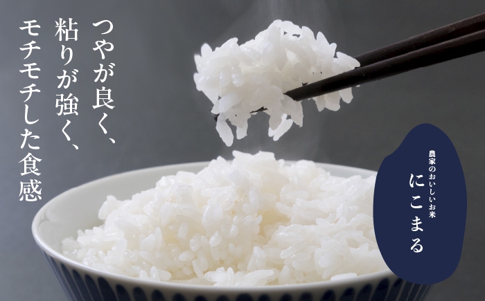 お米 精米 白米 ご飯 ごはん 特別栽培米 愛知県産 米 10kg 10キロ