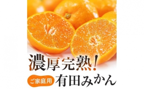 ご家庭用 濃厚完熟有田 みかん 約5kg【先行予約 2024年11月上旬～11月下旬発送 】 農家直送 訳あり