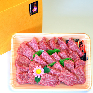 A5～A4ランク博多和牛厳選セット(計1150g)焼肉たれ・塩胡椒付【化粧箱入】川崎町 MRG036