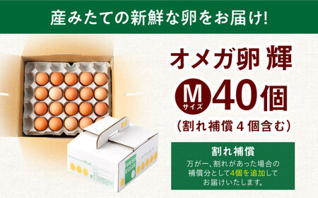 オメガ卵 輝 40個【トーセン農場】[NCJ001]