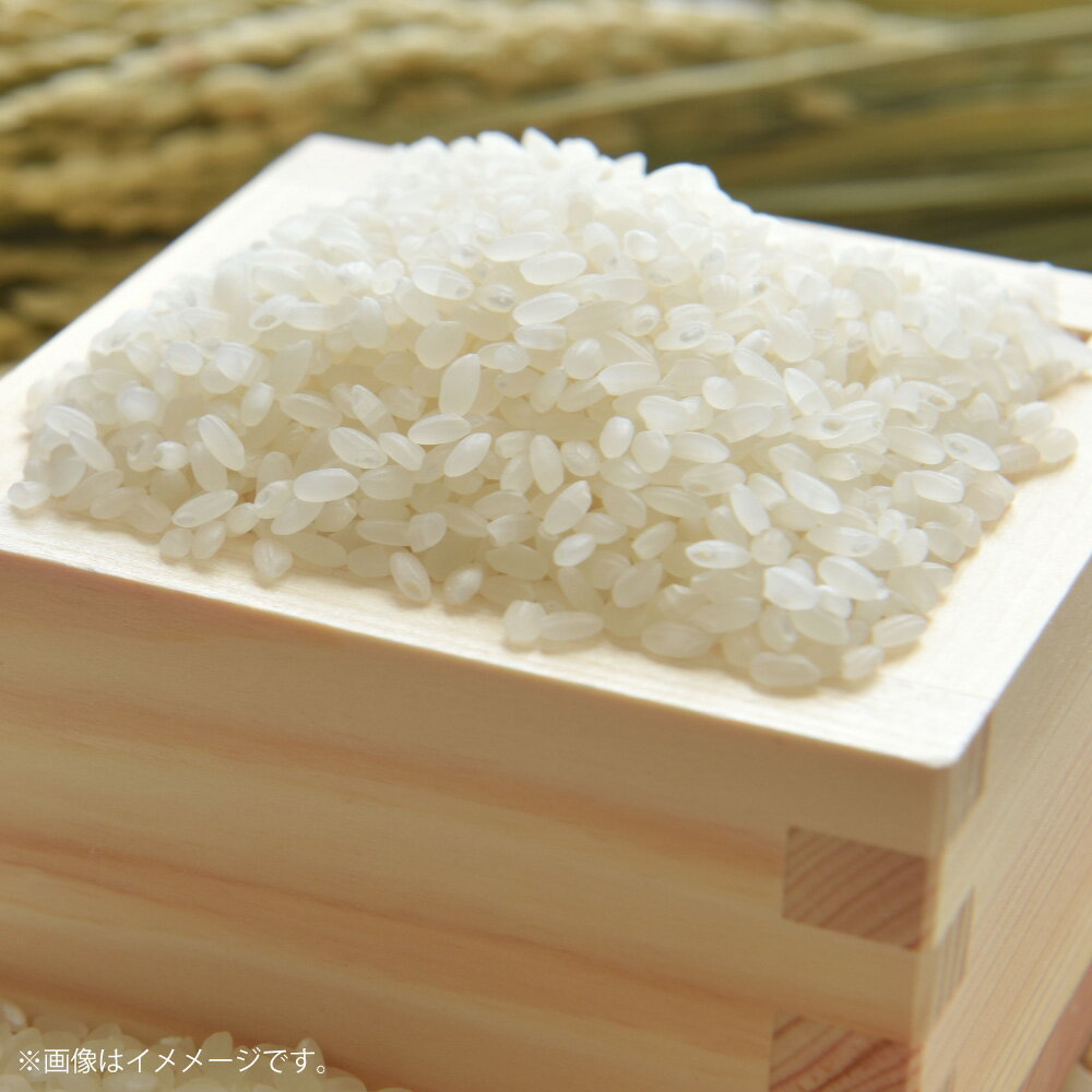 【ふるさと納税】令和7年産 島育ち、甑島産 ヒノヒカリ 白米 5kg お米 こめ ごはん 国産 鹿児島県産 薩摩川内市 送料無料 【2025年11月上旬より順次発送開始】 BS-0108