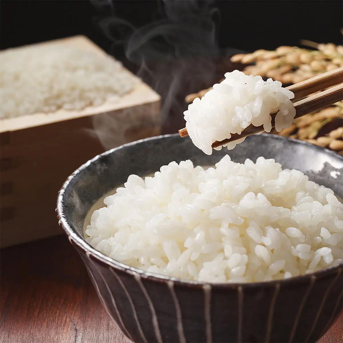【定期便6回】山形産 はえぬき 5kg×6ヶ月(計30kg) FZ24-473