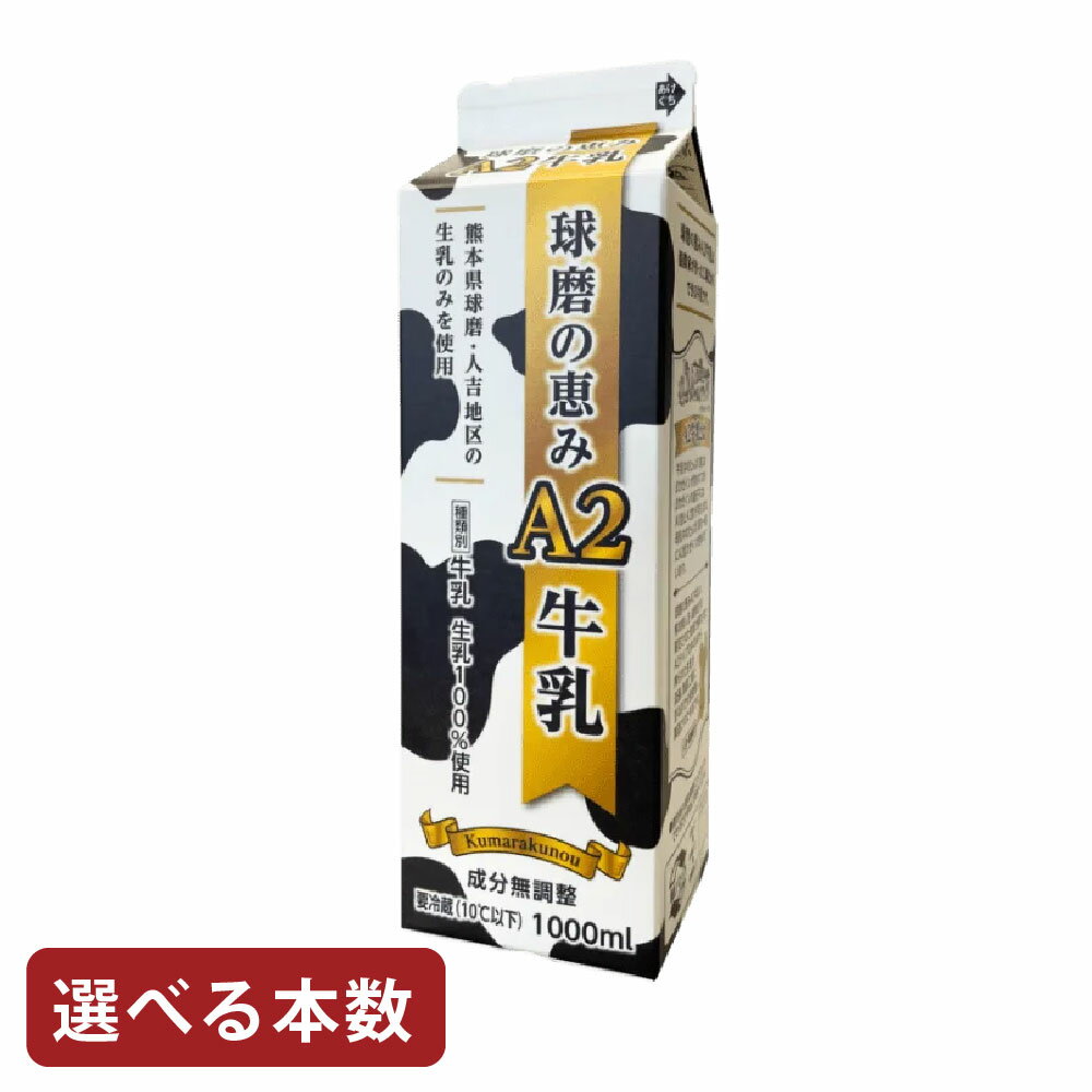 【ふるさと納税】＜選べる内容量＞球磨の恵みA2牛乳 4パック・6パック 1パック1000ml 1L 計4L・計6L 生乳100% ぎゅうにゅう ミルク ドリンク 飲料 冷蔵 熊本県産 国産 九州 熊本県 湯前町 送料無料
