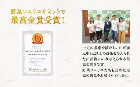 極上メロン 渥美の陽光-HIKARI-　2玉