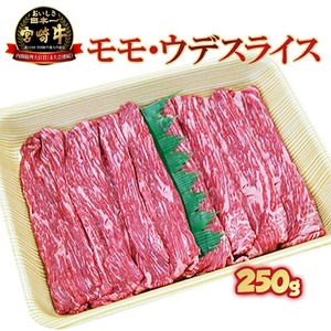 宮崎牛モモ・ウデスライス N023-YZA302