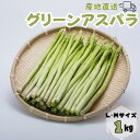 【ふるさと納税】たけだファーム産地直送グリーンアスパラガス L・Mサイズ1kg：B016-061