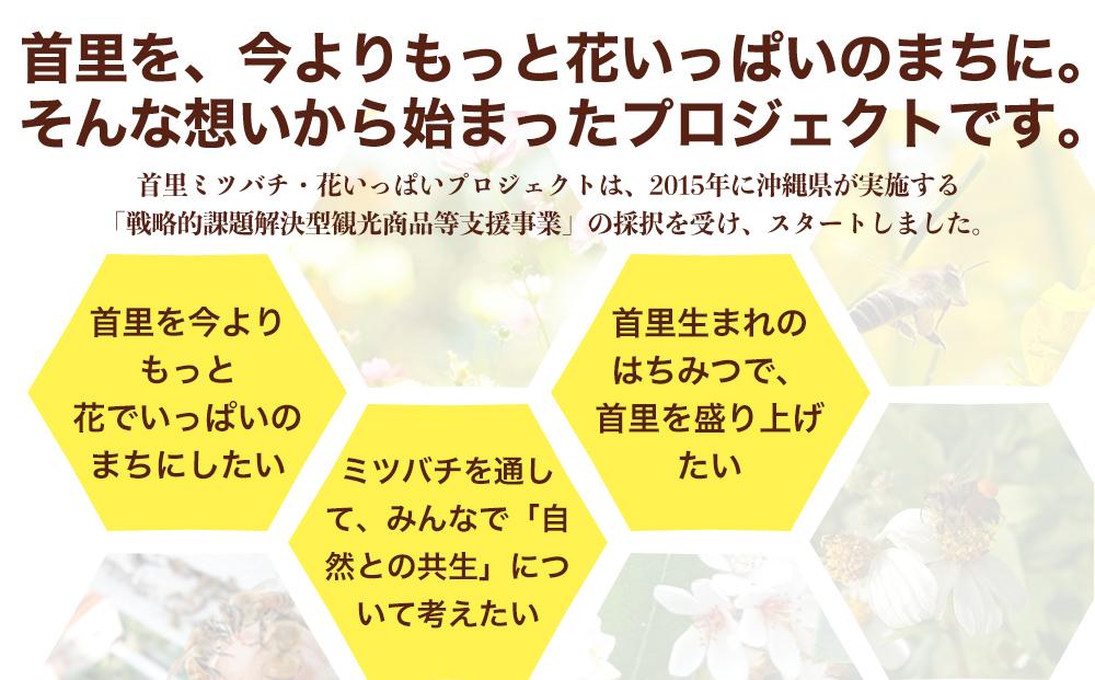＜限定＞首里王朝蜂蜜2本入りギフトセット