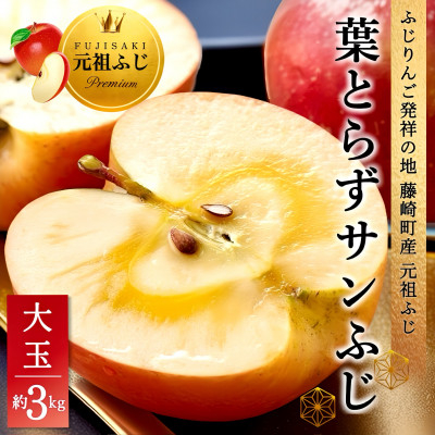 
            葉とらずサンふじ 大玉 約3kg(6～8玉) ご家庭用りんご(訳あり) 青森県産リンゴ 青森林檎【1102373】
          