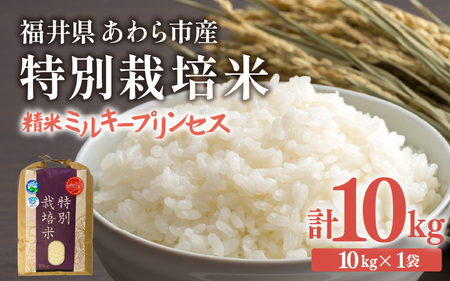 【令和7年産】化学肥料不使用 特別栽培米 ミルキープリンセス 精米 10kg × 1袋 / 白米 米 福井県あわら市産 美味しい 特別栽培米 減農薬 安心な米 旨味 甘み もっちり 冷蔵保管米 [aw010-b019]
