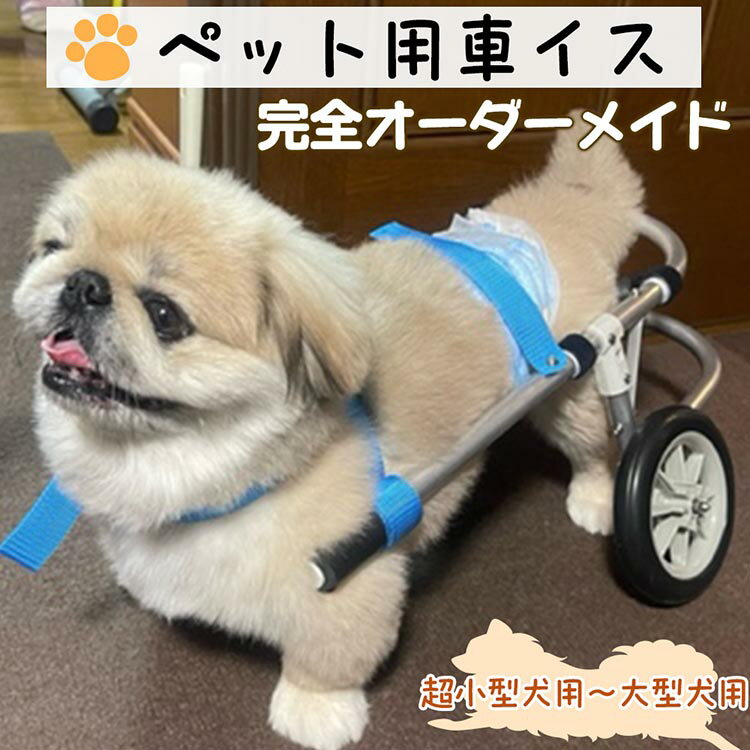 【ふるさと納税】犬用車いす 2輪～4輪カート 超小型犬用（～3kg）～大型犬用（21kg～28kg）｜ペット用 車椅子 車イス 軽量 手作り オーダーメイド 2輪車 4輪車 チワワ トイプードル ダックスフンド 柴犬 ビーグル ゴールデンレトリバー シーズー ラブラドールレトリバー
