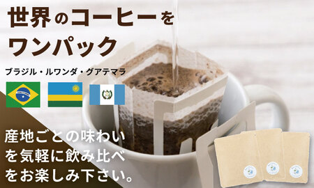 飲み比べ 自家焙煎コーヒー豆 各80g 2種 （粉）＆ドリップパック ３パック 珈琲 セット 贈答 プレゼント アースフルコーヒー  A090-031