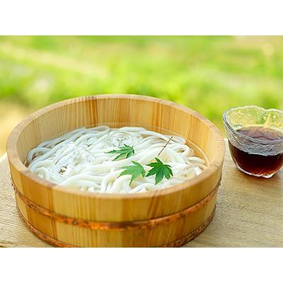 ふるさと納税 小豆島町 小豆島産　半生うどん(250g)　6個入