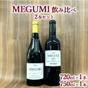 【ふるさと納税】MEGUMI飲み比べ2本セット ※離島への配送不可