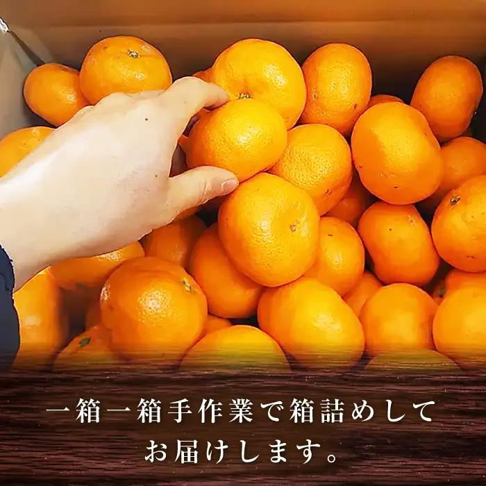 みかん 約2.5kg 温州 みかん  [ACAI001]