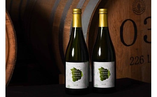 やまがたシャルドネスパークリング 750ml×2本 辛口 ワイン 白 白ワイン 酒 山形　020-E-CK017