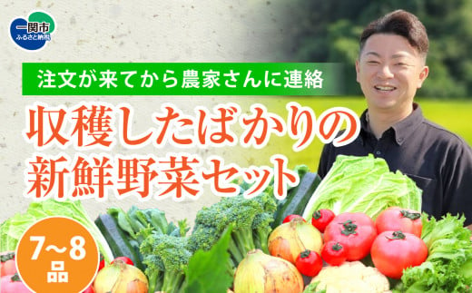 
【注文が来てから収穫発送！】収穫したばかりの新鮮野菜セットお試しコース 《7～8品》 季節のお野菜 おまかせ お楽しみ 獲れたて産地直送 旬 鍋 冬野菜 ベジタブル ヘルシー 健康 詰め合わせ 一関市
