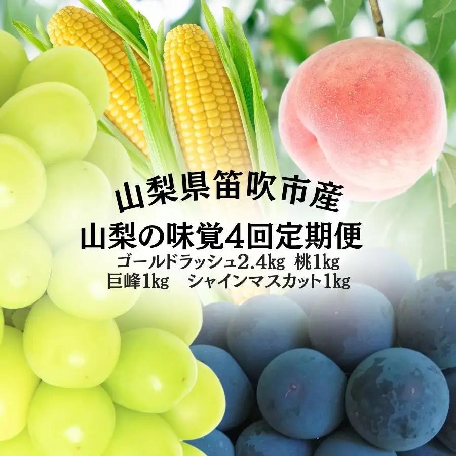 【2026年発送★先行予約】山梨の味覚定期便　全4回　ゴールドラッシュ　桃　巨峰　シャインマスカット 167-141-26y