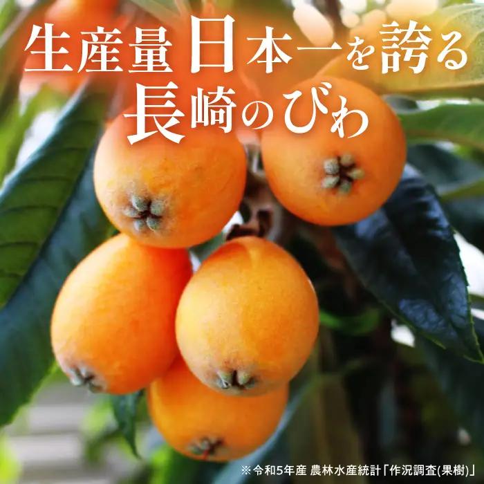 長崎びわゼリー 12個 びわ ゼリー AHAH003