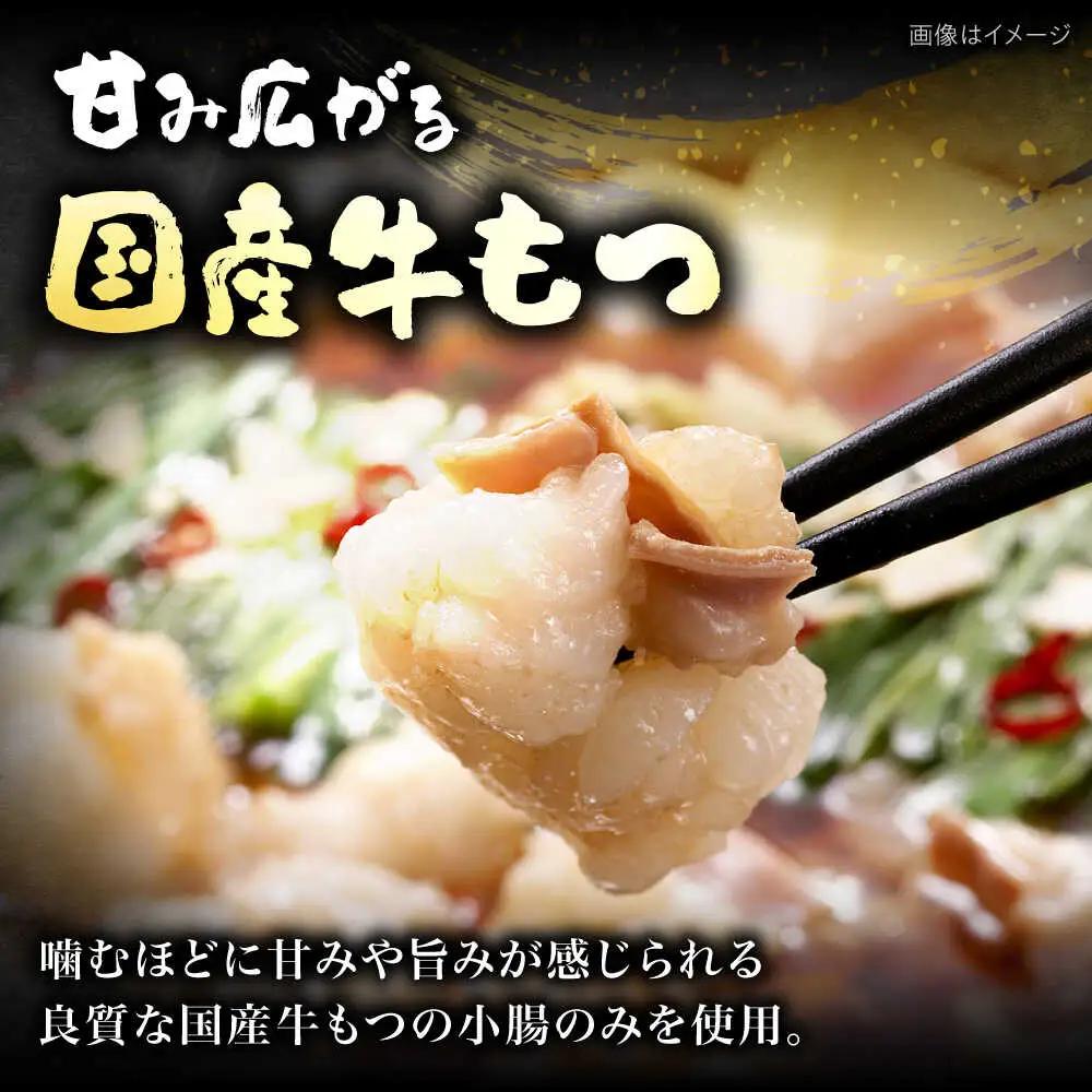 【ご家庭用】 博多もつ鍋(醤油味)3人前 VEC009 もつ鍋    