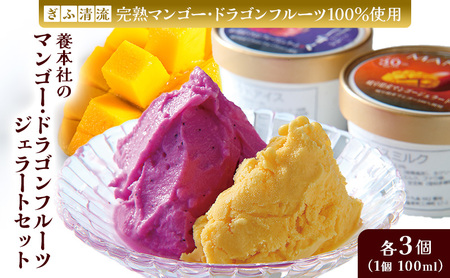 養本社のマンゴー・ドラゴンフルーツジェラートセット　2種×各3個 お菓子 ｜アイス デザート スイーツ 贈り物 ギフト プレゼント
