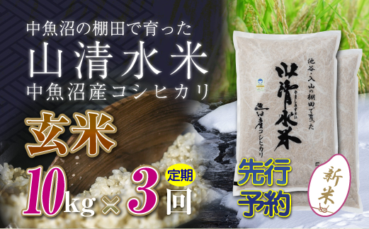 【先行新米予約】【定期便／全3回】玄米10kg 新潟県魚沼産コシヒカリ「山清水米」 